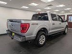 2021 F-150 Thumbnail 4