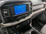 2021 F-150 Thumbnail 10