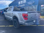 2022 F-150 Thumbnail 3
