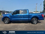 2022 F-150 Thumbnail 5