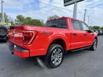 2022 F-150 Thumbnail 5