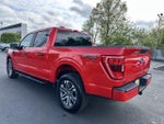 2022 F-150 Thumbnail 7