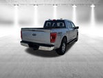 2022 F-150 Thumbnail 7