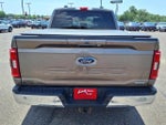 2022 F-150 Thumbnail 4