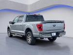 2022 F-150 Thumbnail 10