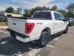 2023 F-150 Thumbnail 5
