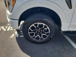 2023 F-150 Thumbnail 9