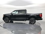 2023 F-150 Thumbnail 8