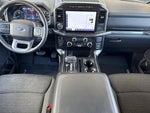 2023 F-150 Thumbnail 14