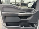 2023 F-150 Thumbnail 8