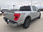 2023 F-150 Thumbnail 3