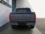 2023 F-150 Thumbnail 4