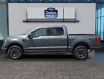 2023 F-150 Thumbnail 6