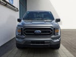 2023 F-150 Thumbnail 8