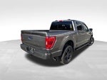 2023 F-150 Thumbnail 6