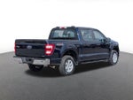 2023 F-150 Thumbnail 3
