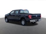 2023 F-150 Thumbnail 4