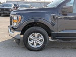 2023 F-150 Thumbnail 19
