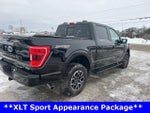 2023 F-150 Thumbnail 8