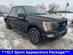 2023 F-150 Thumbnail 6
