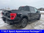 2023 F-150 Thumbnail 9