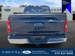 2023 F-150 Thumbnail 5