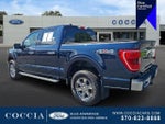 2023 F-150 Thumbnail 6