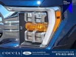 2023 F-150 Thumbnail 9