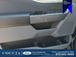 2023 F-150 Thumbnail 12