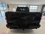 2023 F-150 Thumbnail 4