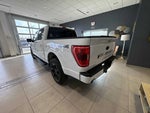 2023 F-150 Thumbnail 4