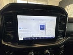 2023 F-150 Thumbnail 11