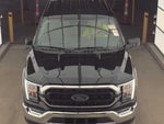 2023 F-150 Thumbnail 2