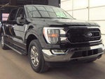 2023 F-150 Thumbnail 3