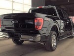 2023 F-150 Thumbnail 4