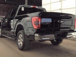 2023 F-150 Thumbnail 7