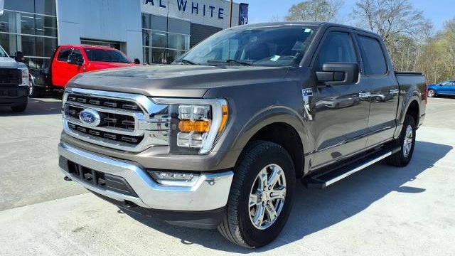 Preowned 2023 Ford F-150 XLT for Sale