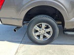 2023 F-150 Thumbnail 6