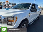 2023 F-150 Thumbnail 7