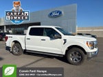 2023 F-150 Thumbnail 6