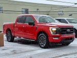 2023 F-150 Thumbnail 1