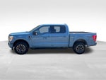 2023 F-150 Thumbnail 10