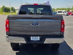 2023 F-150 Thumbnail 12