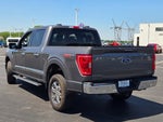 2023 F-150 Thumbnail 14