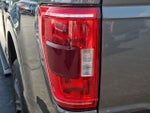 2023 F-150 Thumbnail 10