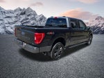 2023 F-150 Thumbnail 5