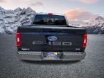 2023 F-150 Thumbnail 6