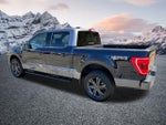 2023 F-150 Thumbnail 8
