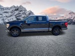 2023 F-150 Thumbnail 9