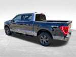 2023 F-150 Thumbnail 8